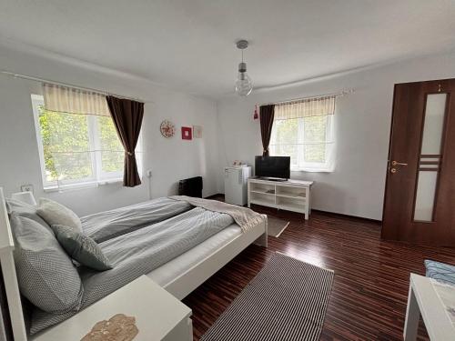 HăţăgelCountry House Hățăgel的一间卧室设有一张床、一台电视和窗户。