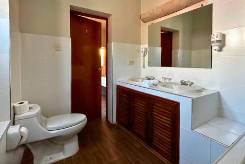 伊察DM Hoteles Mossone - Ica的一间带卫生间、水槽和镜子的浴室