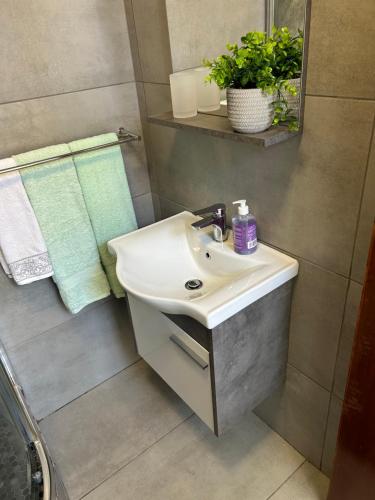 布隆方丹SiBella guest house的一间带白色水槽和植物的浴室