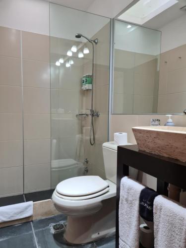 科洛尼亚-德尔萨克拉门托蚕茧酒店的浴室配有卫生间、淋浴和盥洗盆。