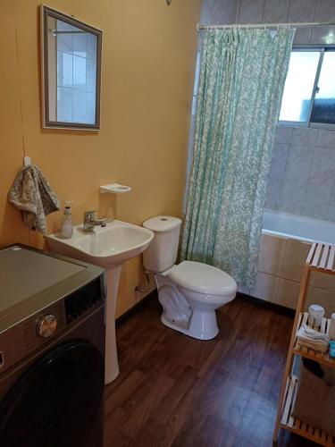 蓬塔阿雷纳斯Casa Celeste的一间带水槽、卫生间和淋浴的浴室