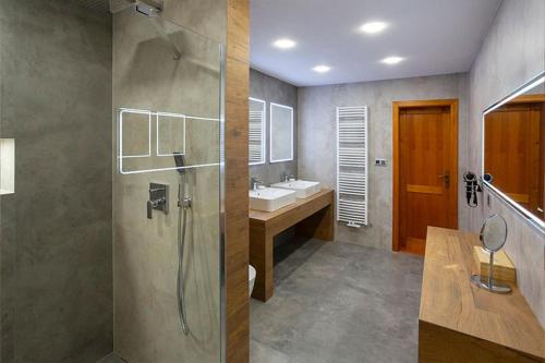 罗斯诺夫·波德·拉德霍斯滕依格考酒店的带淋浴和盥洗盆的浴室