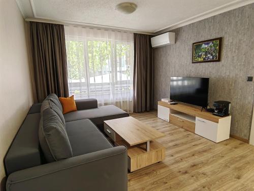 索非亚威尼斯公寓酒店的带沙发和平面电视的客厅