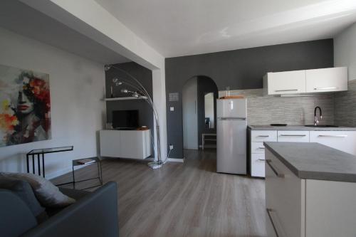 拉布Apartments Casa Barbara的厨房以及带白色冰箱的客厅。