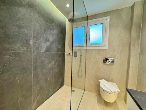 阿尔米罗斯海滩Villa Pami的带淋浴、卫生间和窗户的浴室