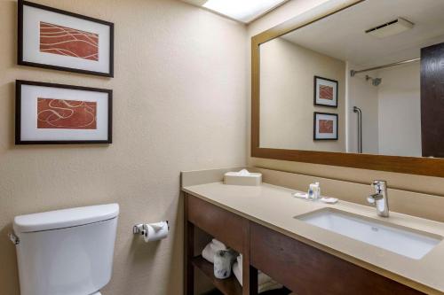 杰克逊维尔贝梅度斯靠近巴特勒大道康福特套房酒店的一间带卫生间、水槽和镜子的浴室