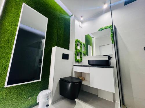 奥拉迪亚The Garden Apartment的浴室设有绿色墙壁、卫生间和镜子