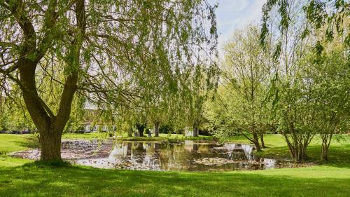 法威雷斯索莱斯Spa酒店的公园中央的池塘,树木繁茂