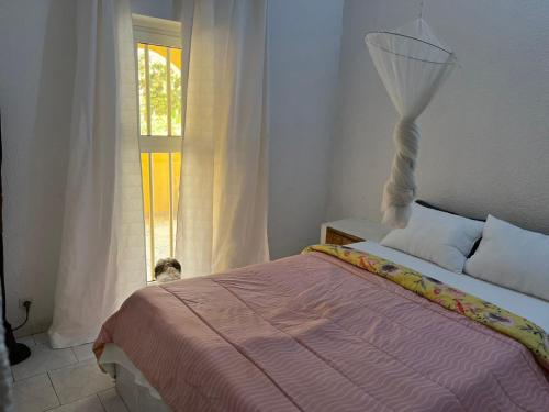 萨利尼亚拉尔CHEZ NOUS的一间卧室设有一张床和一个窗口