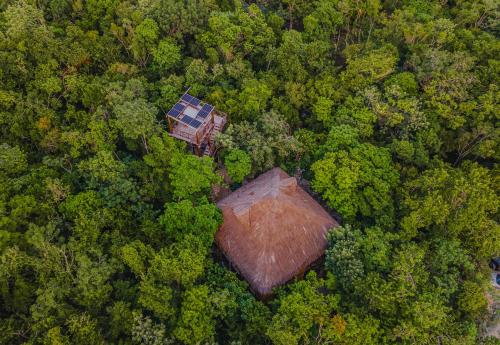 图卢姆Treehouse Tulum H2Ojos的森林中房屋的空中景观