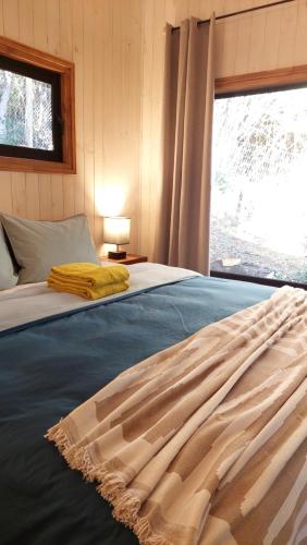 普孔Tres Bosques的床上有毯子,有窗户
