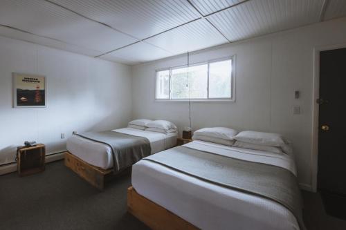 腓尼基格雷厄姆公司酒店的一间卧室设有两张床和窗户。