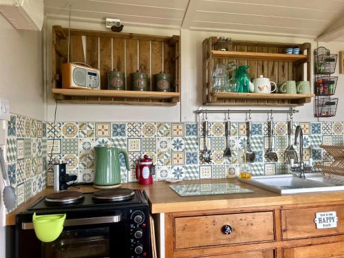 汤顿Willowbank shepherds hut的厨房配有水槽和炉灶 顶部烤箱