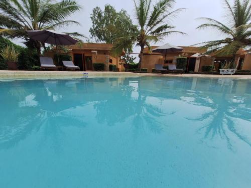 萨利波图尔Hôtel La Belle Etoile & SPA的一座种植了棕榈树和遮阳伞的大型蓝色游泳池