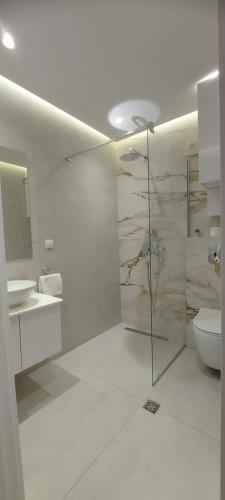 蒂瓦特La casa di Sonja的白色的浴室设有卫生间和水槽。