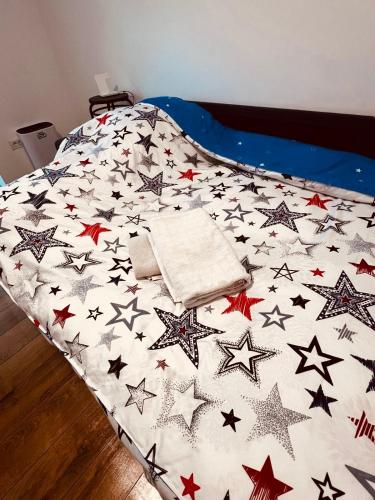 布加勒斯特Studio Grigorescu的卧室里一张星空床