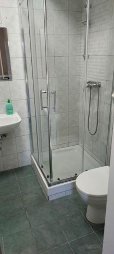 波尔托罗B&B Family Skvor的带淋浴、卫生间和盥洗盆的浴室