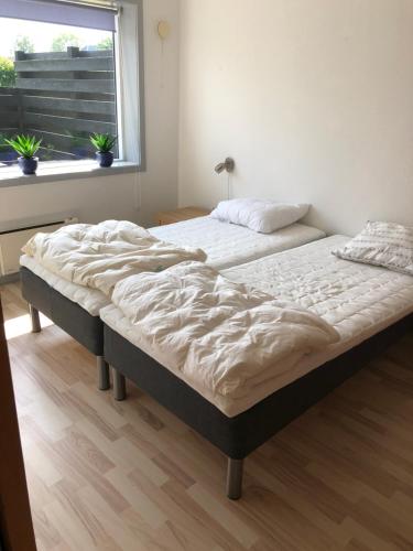 纳克斯考Langø, ferielejlighed的卧室设有两张单人床和窗户。