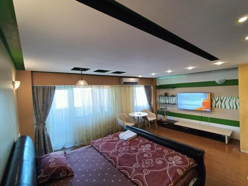 布加勒斯特Ghica Tei Studio的一间设有床铺和电视的房间