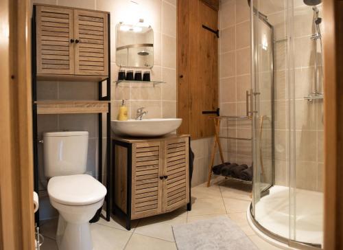 圣提里耶拉佩尔什Veyrinas 43的浴室配有卫生间、盥洗盆和淋浴。