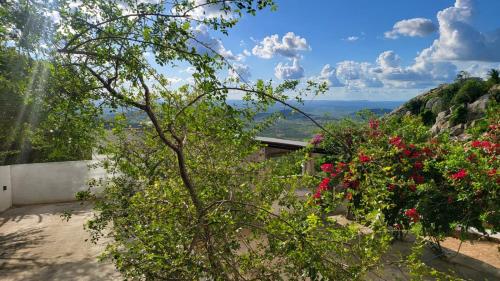 Serra de São BentoPOUSADA MIRANTE DO VALE的从鲜花房子的花园中欣赏到美景