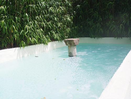 布拉加Quinta da Maínha - Charming Houses的水中带石柱的游泳池