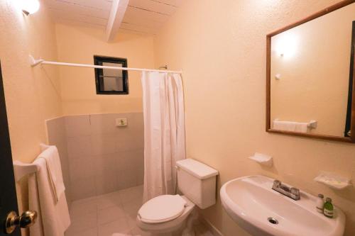 瓦斯卡坎波Hotel Hacienda San Miguel Regla的浴室配有卫生间、盥洗盆和淋浴。