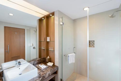 帕朗卡拉亚瑞士贝尔达奴姆帕朗卡拉亚酒店的一间带水槽和淋浴的浴室