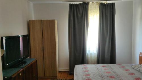 MurfatlarAdriana的一间卧室设有一张床、一台电视和一个窗口。