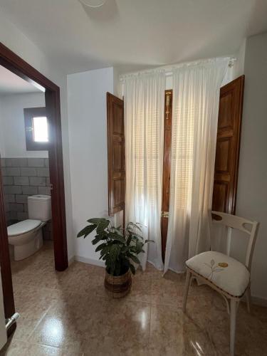 格拉纳达省阿拉马Alojamiento La Escalera的一间带卫生间、椅子和植物的浴室