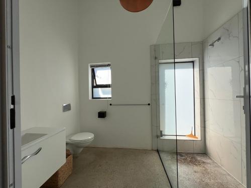 Mount RoadGreenHouse APARTMENT的一间带卫生间和玻璃淋浴间的浴室