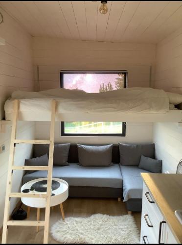The Tiny House