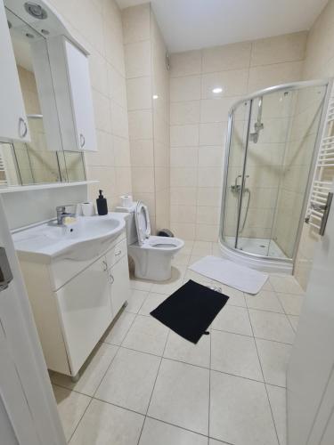 GnjilaneApartment 06的一间带水槽、淋浴和卫生间的浴室