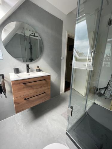 汉堡Naturnahes Heimatbasis的一间带水槽和镜子的浴室