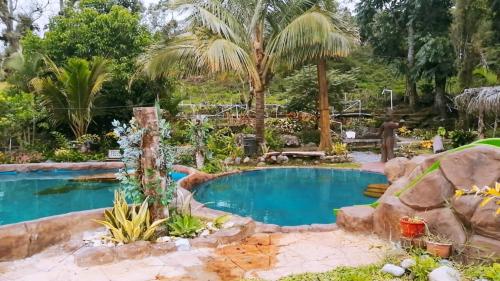 Nueva CaliforniaCabañas Mountain River Lake Inn的棕榈树花园中的游泳池