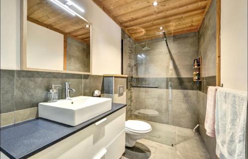 蒙热内夫尔Cosy Mountain _ free park的一间带水槽和卫生间的浴室