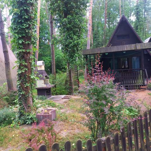斯科尔茨Domek pod świerkami 2的树林中的小木屋,带围栏