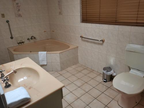 班达伯格Bundaberg International Motor Inn的浴室配有盥洗盆、卫生间和浴缸。