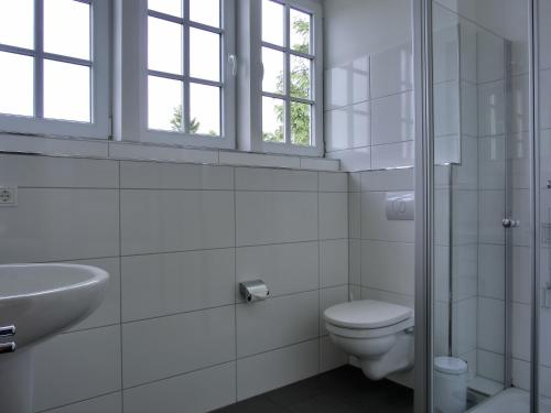 格拉尔-米里茨Ferienhaus FH T 1d的白色的浴室设有卫生间和水槽。