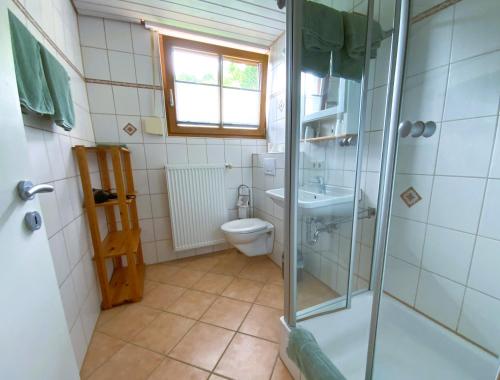 NordrachThe Moosbach Garden的带淋浴、卫生间和盥洗盆的浴室