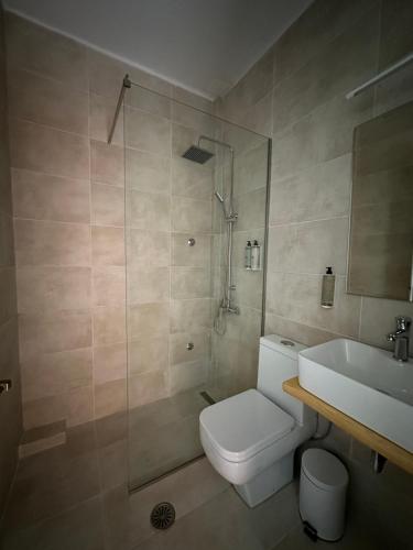 阿查拉维ILENA HOTEL的带淋浴、卫生间和盥洗盆的浴室