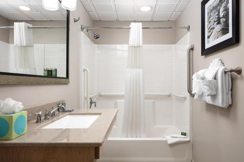 巴港Bar Harbor Villager Motel - Downtown的一间带水槽、浴缸和淋浴的浴室