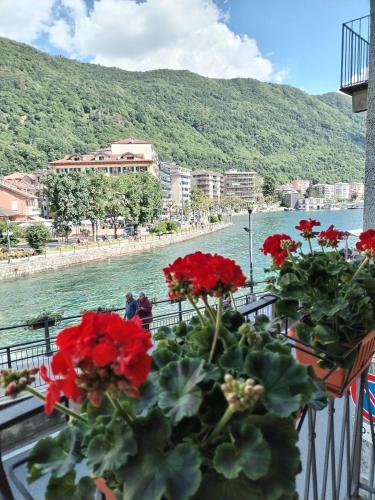 奥梅尼亚un balcone sul lago的阳台享有红花河流美景