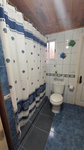 布卡莱穆CASA DE HUÉSPEDES JEM的一间带卫生间和淋浴帘的浴室