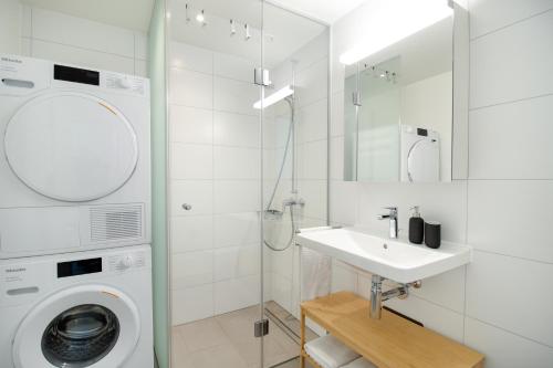 诺伊豪森Löwe Apartment Grau Rooftop am Rheinfall的白色的浴室设有洗衣机和水槽。