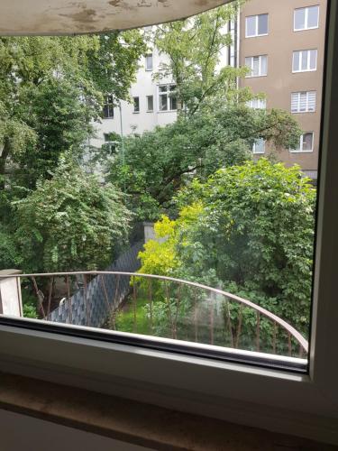 科隆Modern apartment cologne的花园景窗户