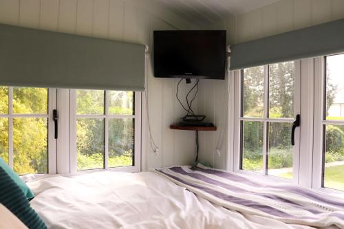 奇切斯特Cobo Cottage的一间卧室配有带窗户的床和一台平面电视