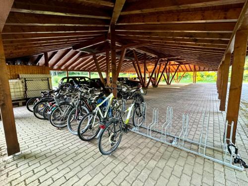 赛格Studio Hase Saig的停在大楼下面的一群自行车