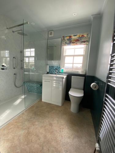 克里夫Private detached cottage sleeps 4的浴室配有卫生间、淋浴和盥洗盆。