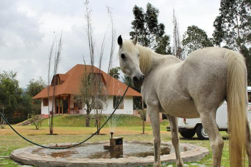 Casa Ecológica Al Pie Del Volcán